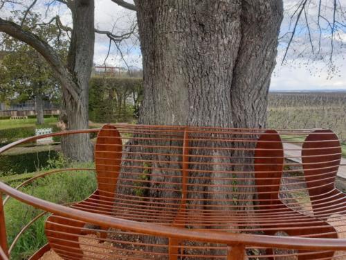 banc autour d'un arbre Chateau de Pizay 2