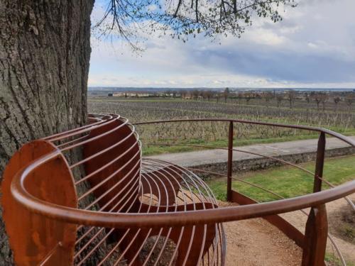 banc autour d'un arbre Chateau de Pizay 3