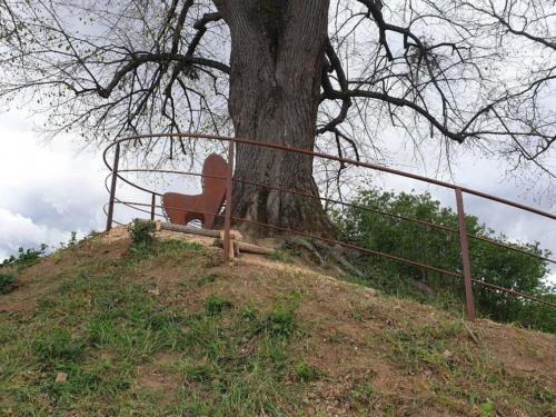 banc autour d'un arbre Chateau de Pizay 8